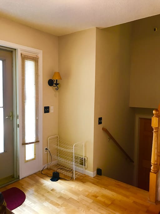 Shoe Area -Lower Level Door