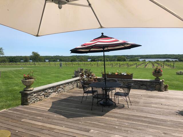 Sakonnet Vineyard Estate with VIP Wine Tastings gallery image 3