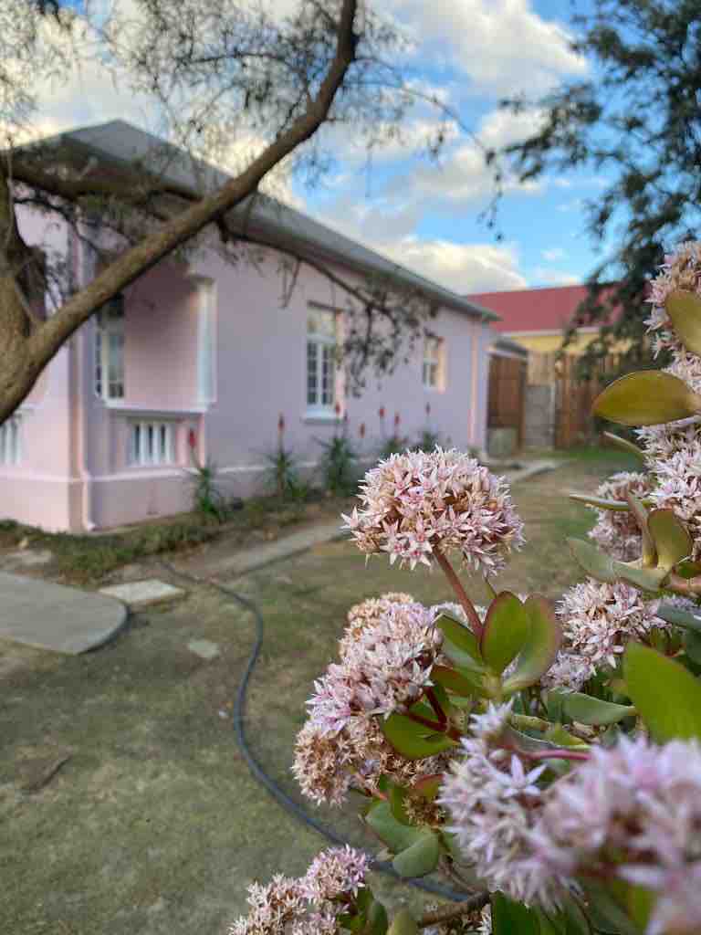 Pink Lady @ Pendennis Farm Villiersdorp - Farm stays for Rent in