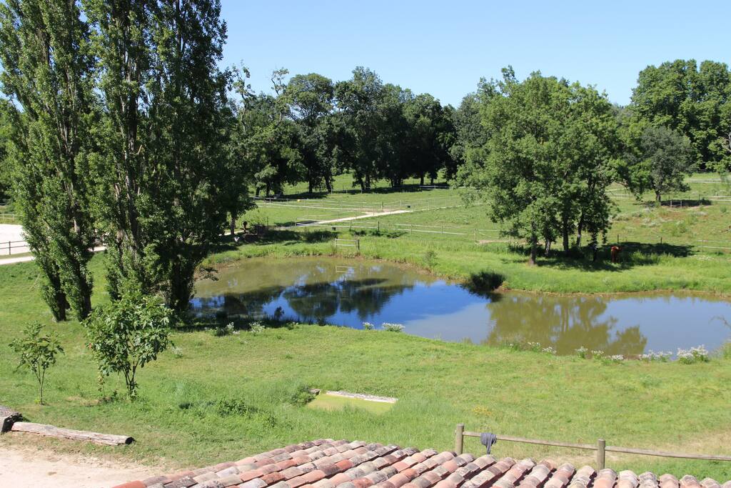 Etang