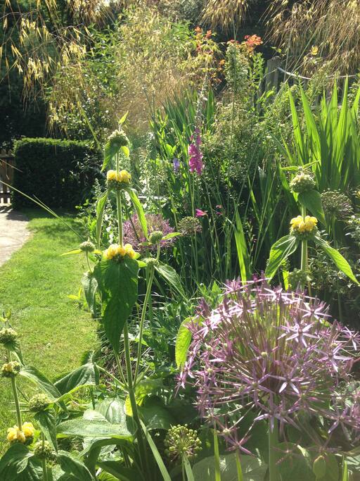 Cottage garden