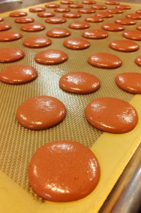 Was du in Quincy unternehmen kannst Authentische 5SterneEntdeckungen