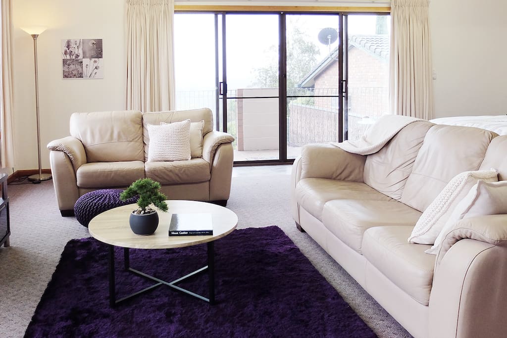 Two Comfy Leather Lounges