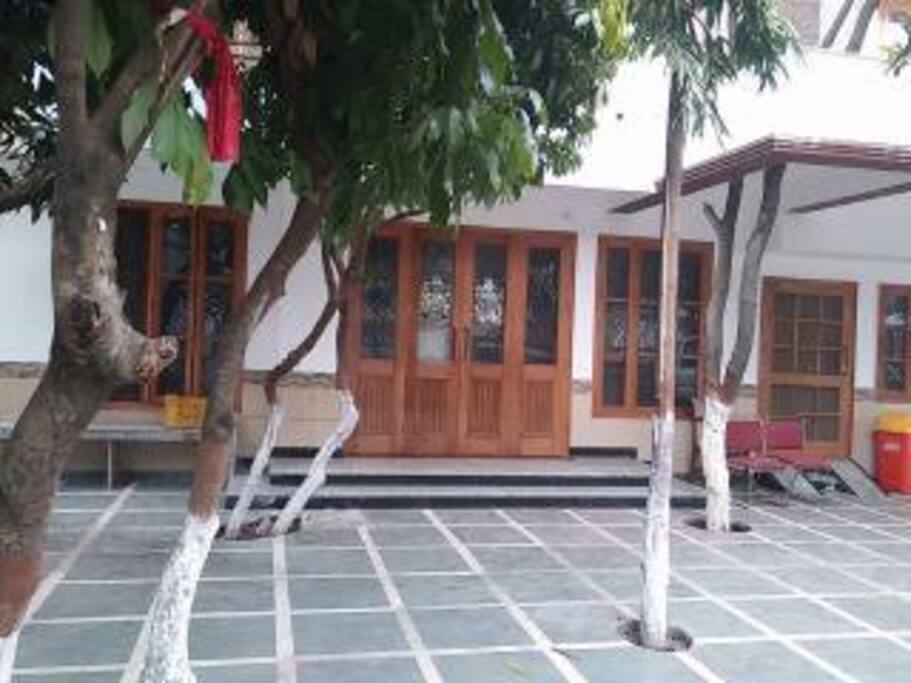 Litchi & Mango trees in the courtyard