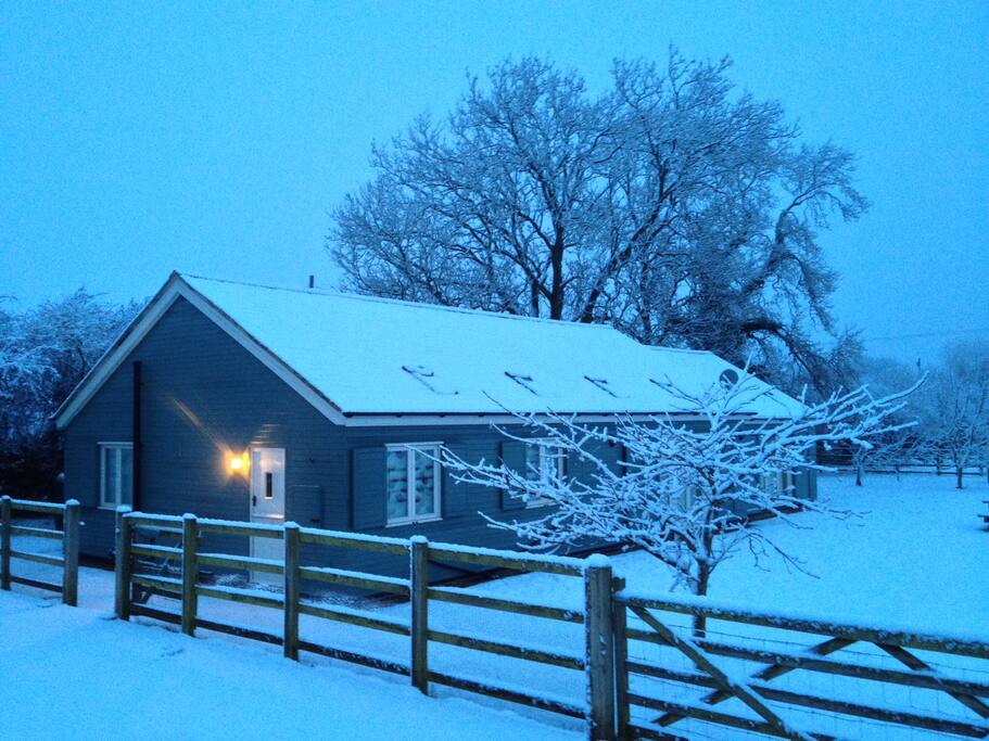 Winter wonderland