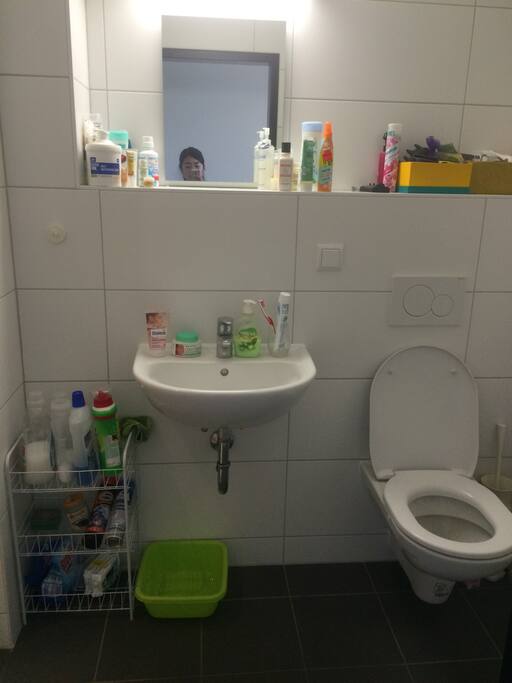 The toilet