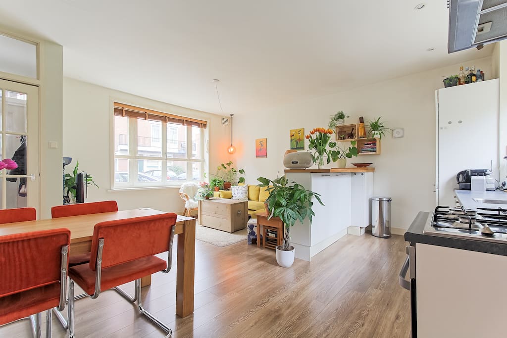 Bright living room with open plan kitchen