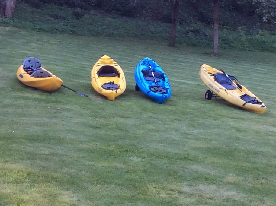 Three single kayaks and one double