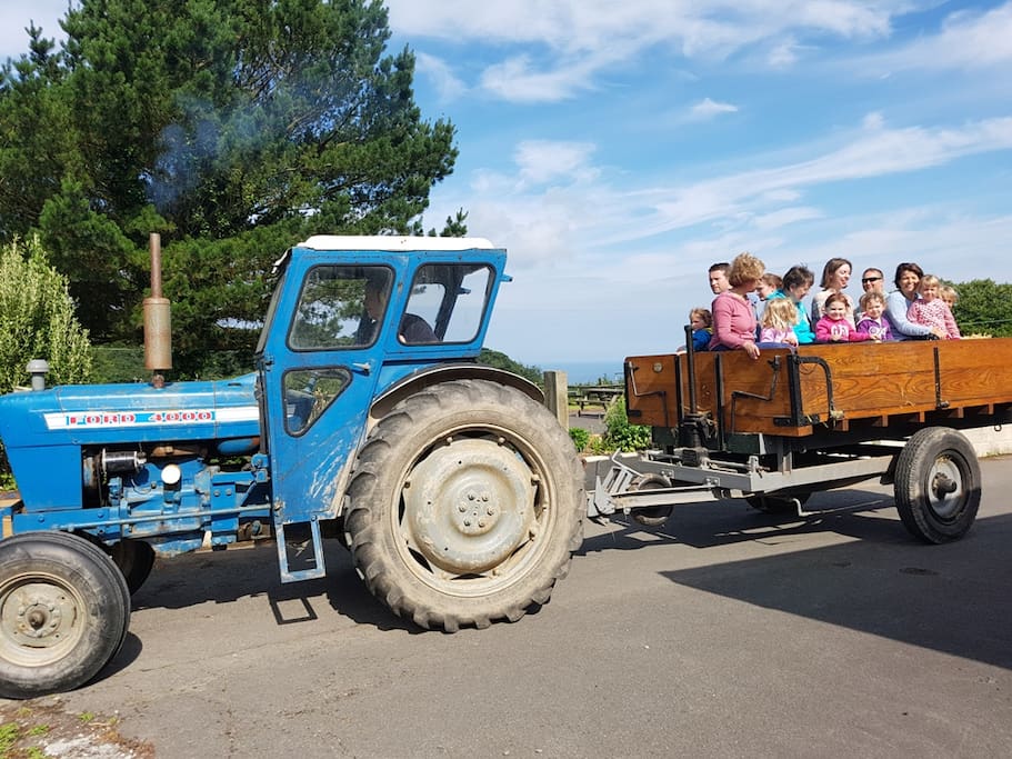 Farm Holidays in North Devon