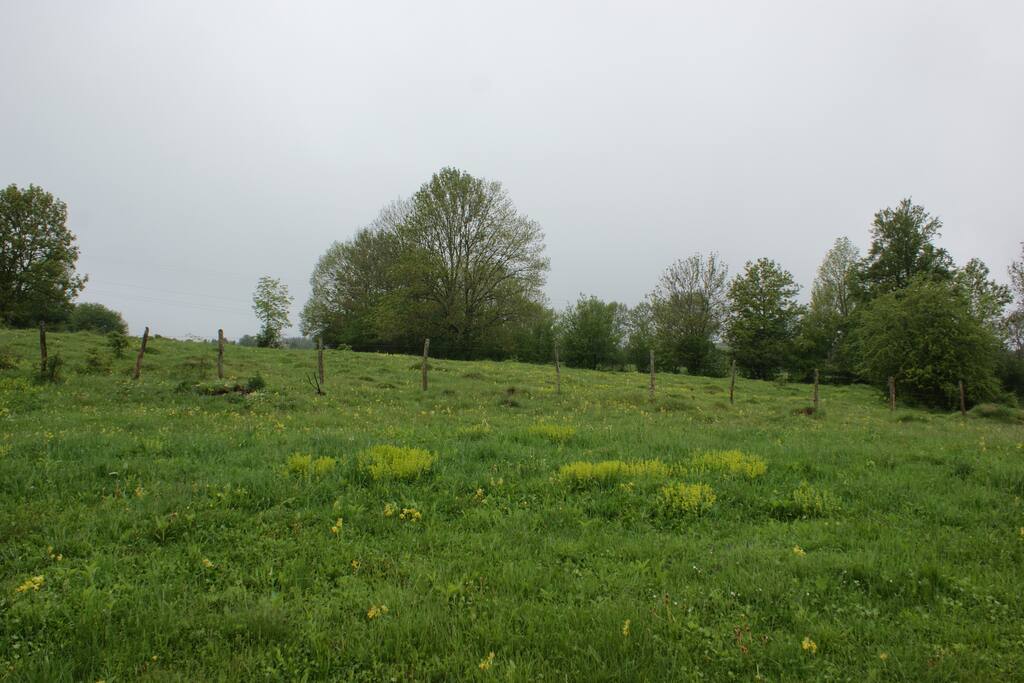Vue de jardin