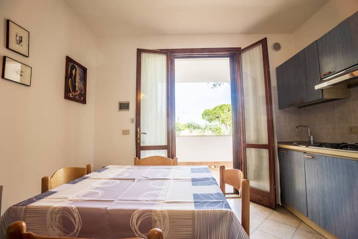 Მისაღები ოთახი სასადილო მაგიდით, მინი-სამზარეულოთი და სატელიტური ტელევიზიით