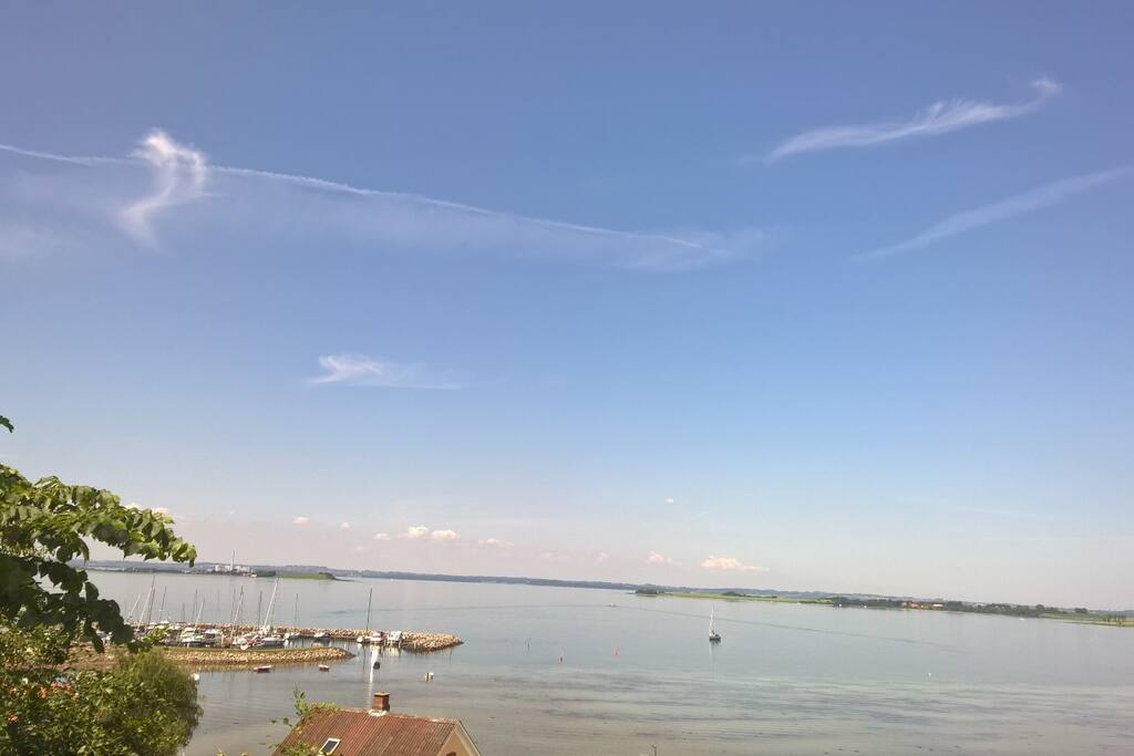 Udsigt fra haven