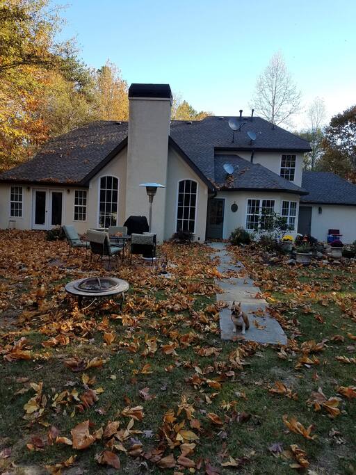 Peaceful backyard in the fall!