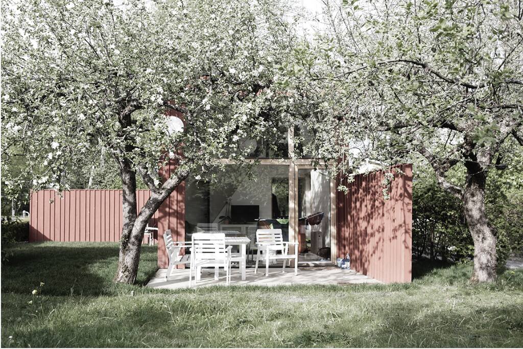 Patio under the apple trees.