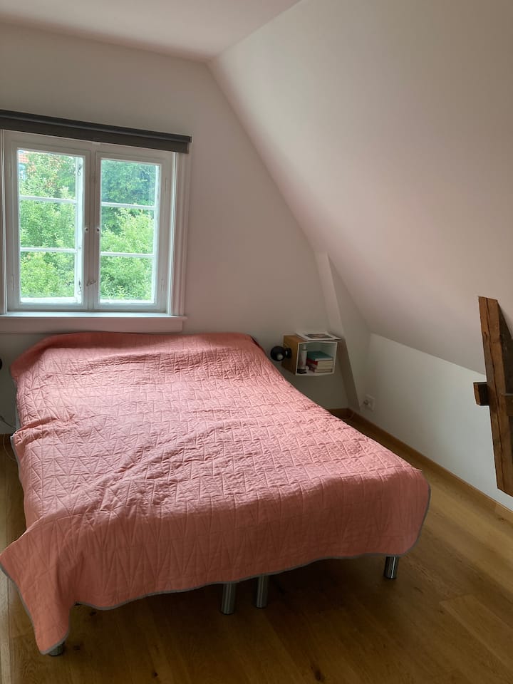 Habitación 1