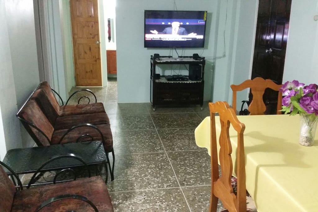 Living room with smart tv, surround sound system and netflix