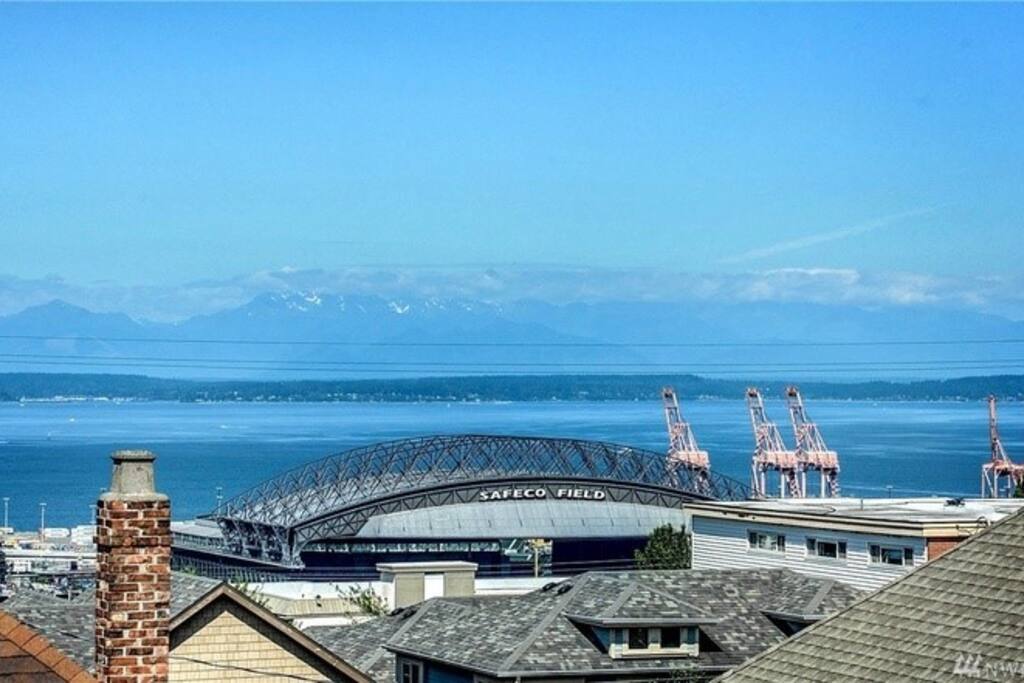 View from Roof Top