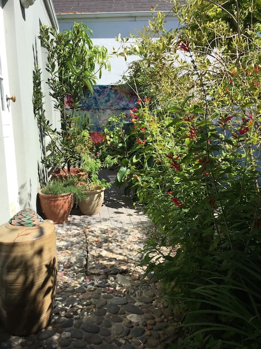 garden view