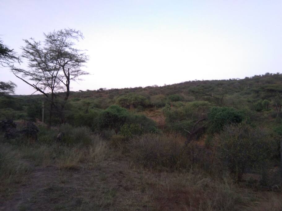 The landscape is just awesome