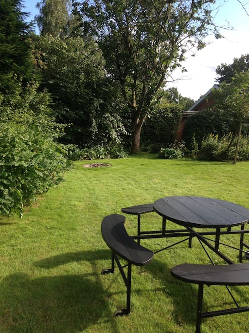 Our garden