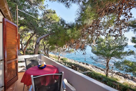 Seafront Studio, Valdarke Losinj