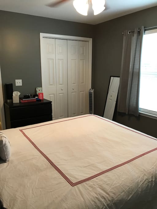 View of guest room with a queen bed, closet, tower fan, full length mirror, and dresser.