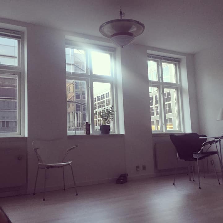 Apartment in central Copenhagen Apartments for Rent in Copenhagen