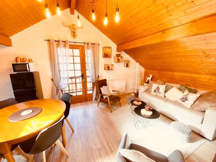 Chalet Privé 5 Pers Pieds Des Pistes Station 1400 - Puy-Saint-Vincent