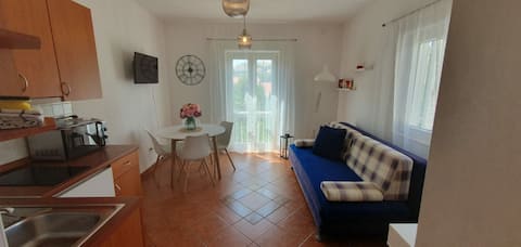 Successful Airbnb property: Apartment Daria's/central location/free parking in Dubrovnik