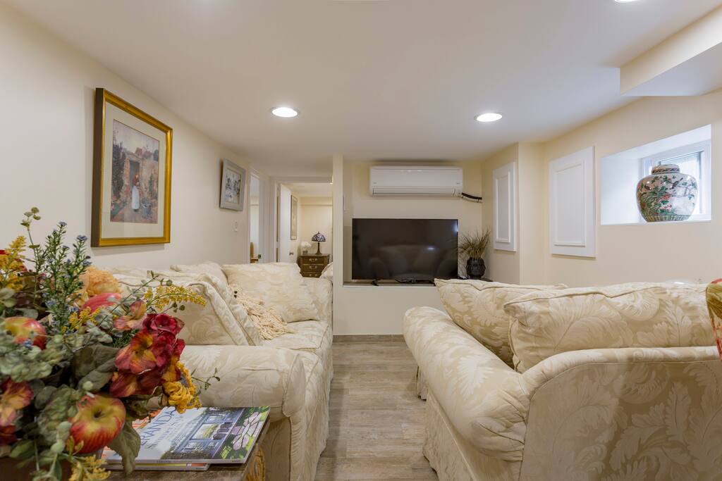 Living room (50" TV & all premium movie channels)