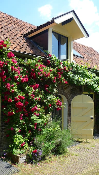 Man entrance guesthouse