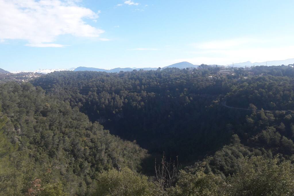 Vue depuis l'appartement, le balcon et le jardin