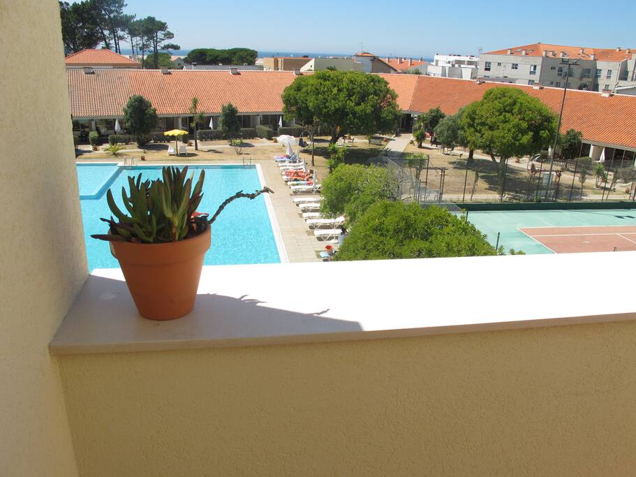 View from the rear veranda