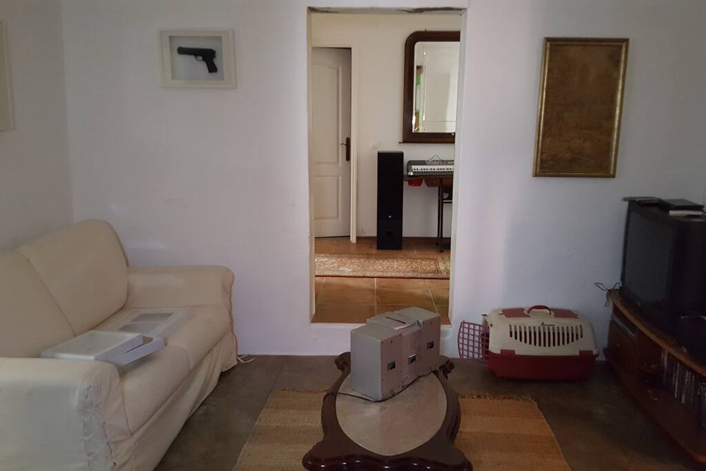 sala de estar com sofá cama