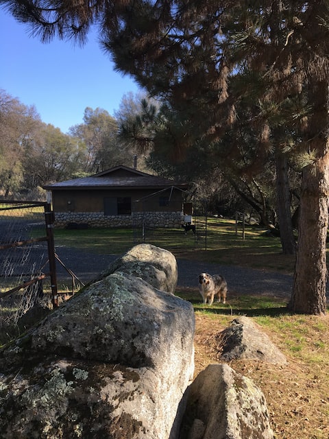 Peaceful Country Retreat *The Bunkhouse*