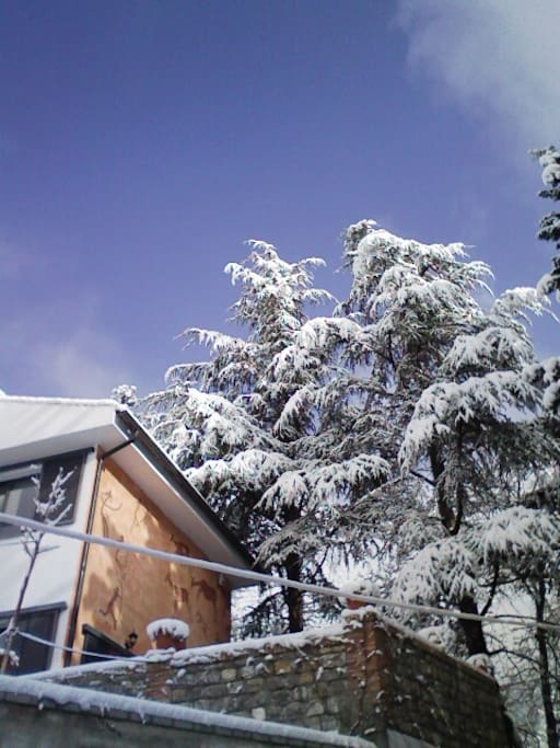 Vista de la casa en invierno