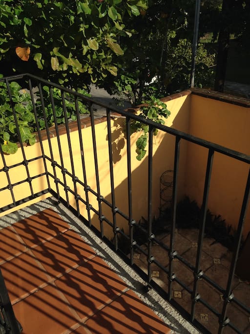 Terraza rec principal