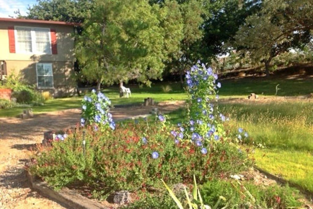 Walk the grounds to drink in the beauty