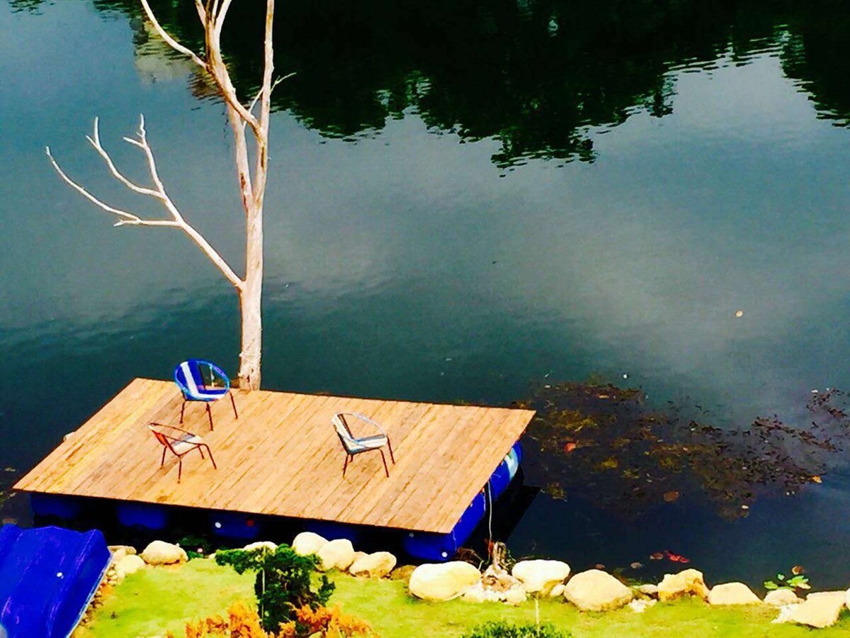 A wooden dock extends over the calm lake waters, featuring a few scattered chairs positioned for relaxation. A leafless tree stands nearby, enhancing the natural setting surrounded by greenery and smooth stones lining the shore.