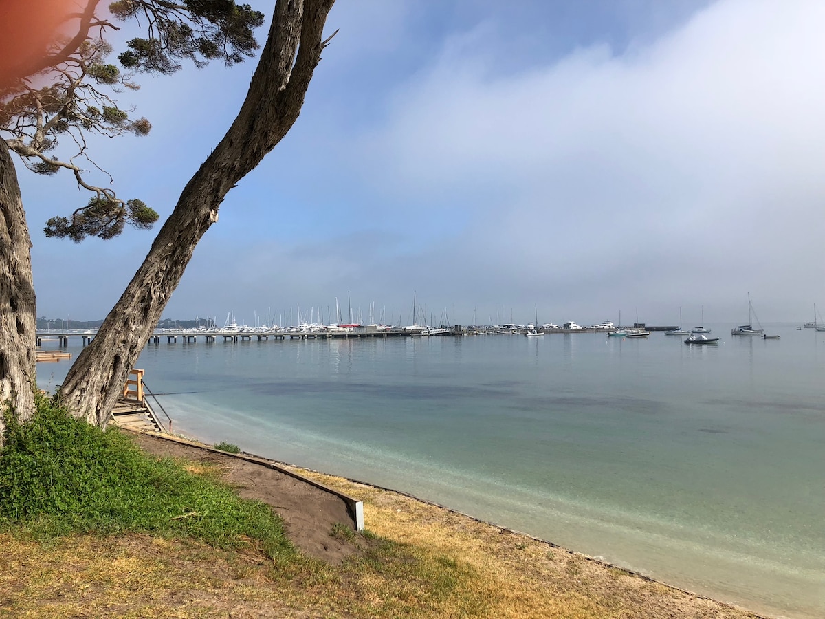 A serene waterfront view features calm waters reflecting the soft hues of the sky, contrasting with a grassy shoreline. A nearby tree adds natural framing to the scene, while boats are docked at the marina in the distance, partially shrouded by fog.