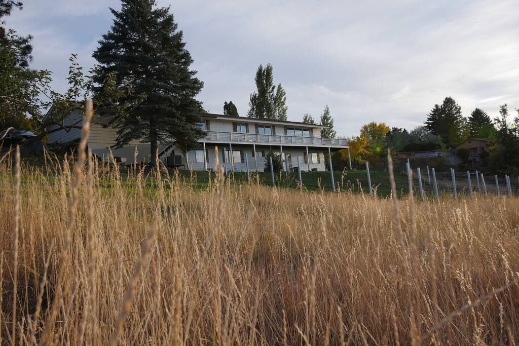 View of the Home from the bottom of the hill in the backyard