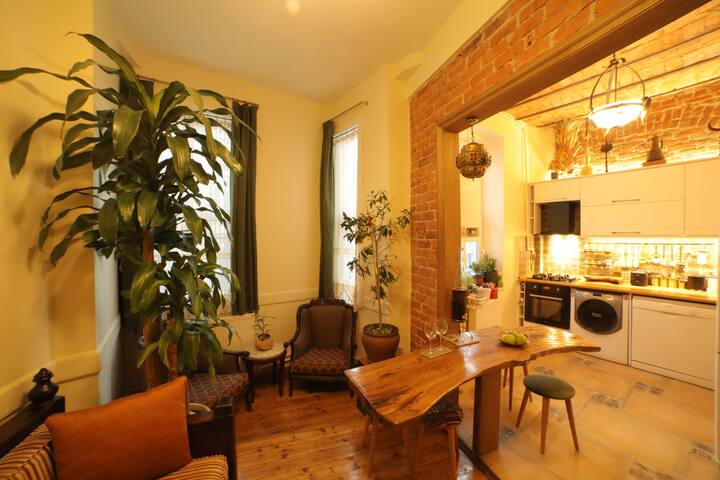 Stunning 5 Bedroom Sunlit Apartment Galata gallery image 3