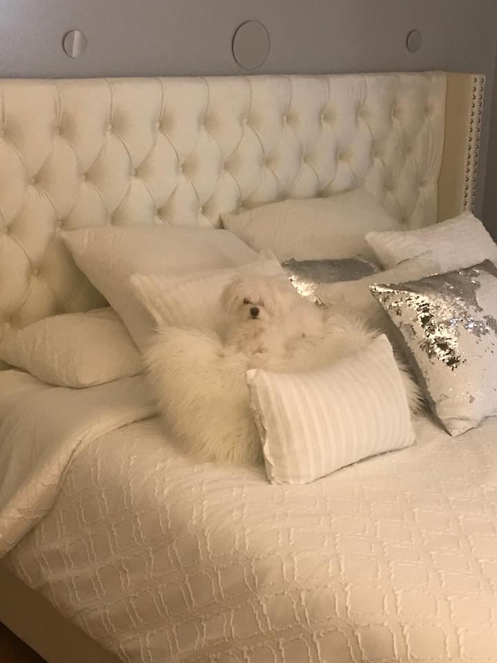 Слика 1 од „Cozy setting“