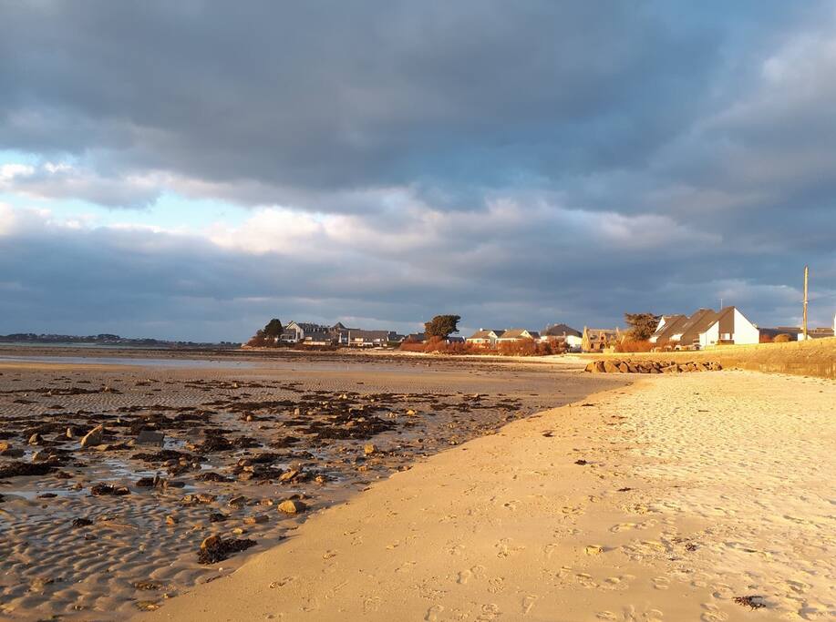 La baie à marée basse
