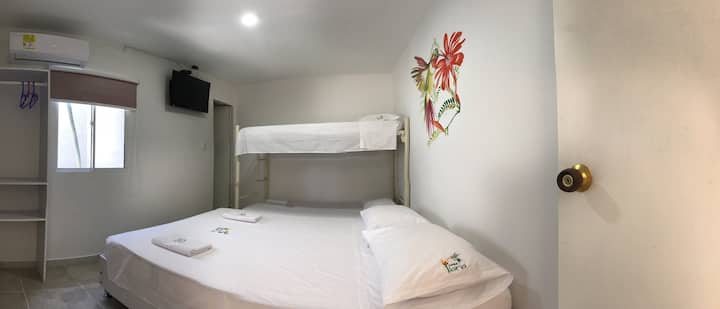 Nuestras habitaciones tienen aire minisplit, tv led, camas, baño privado, servicio WIFI. Las habitaciones se encuentran decoradas con unos hermosos dibujos basados en colibríes los cuales son el emblema del hotel.