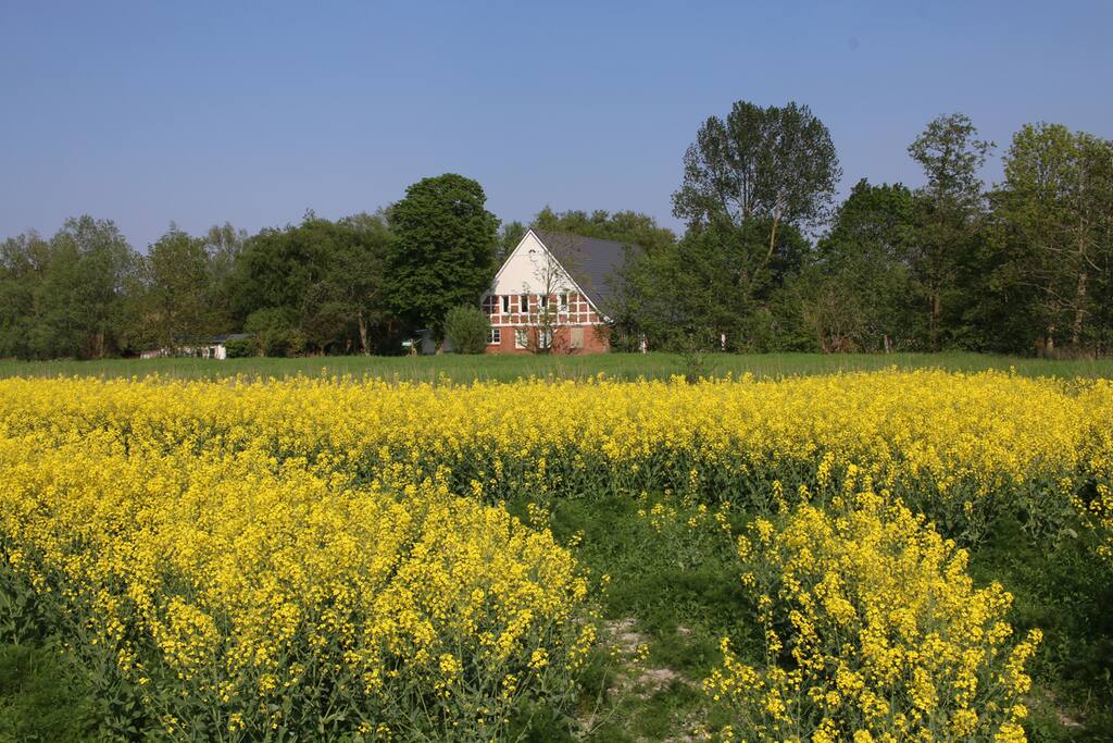 Westansicht des Hauses