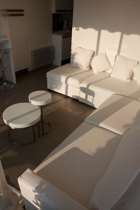 Salon tres confortable