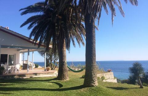 Palo Alto 21, Beach House