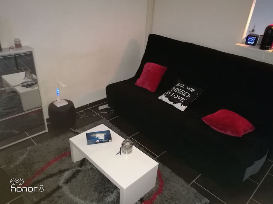 Séjour du logement.
