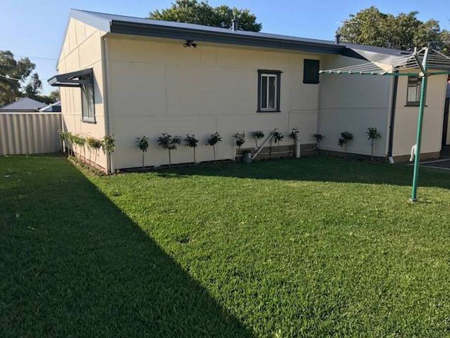 Back yard